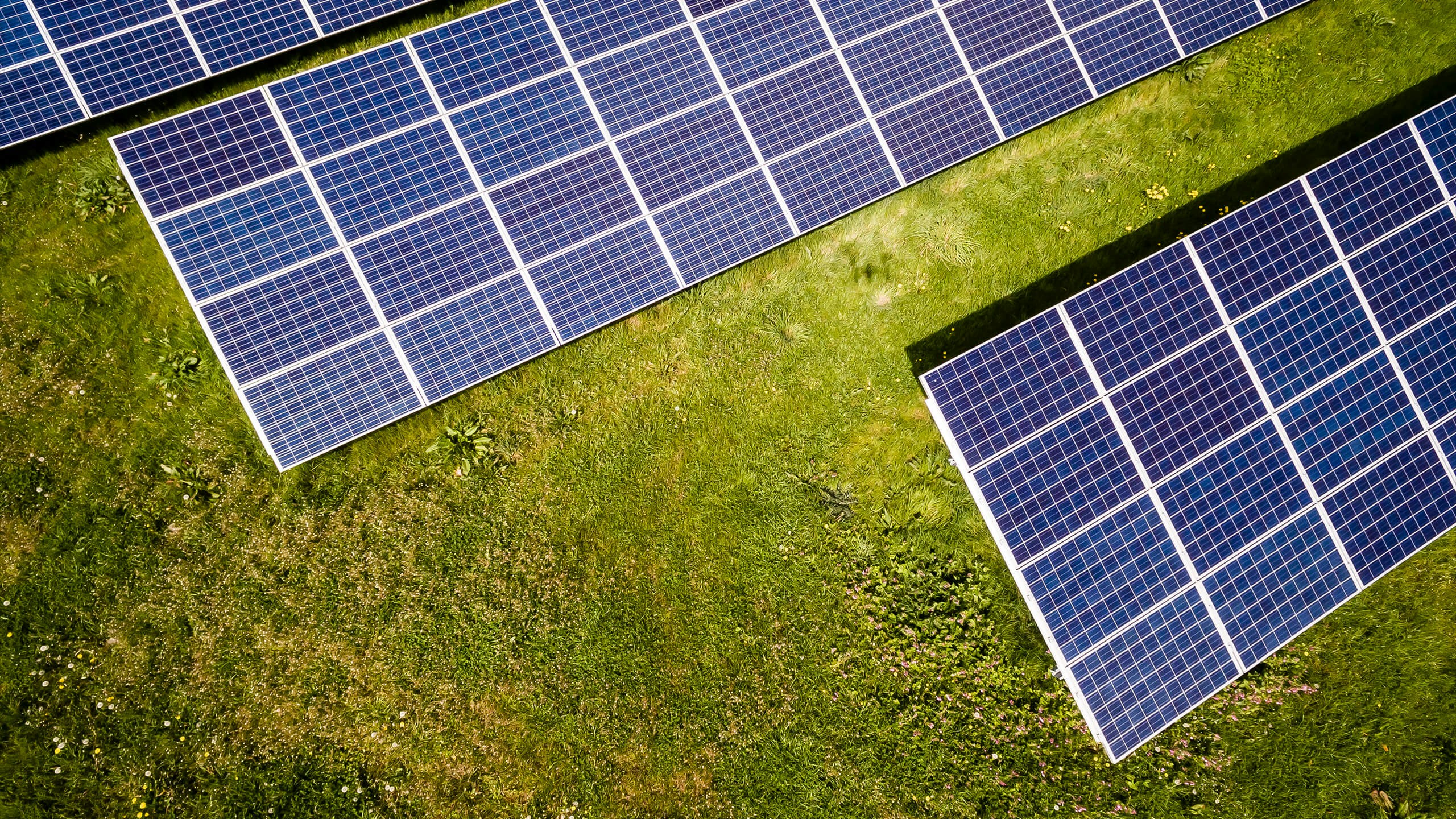 Panneaux solaires à Toulouse, quels avantages et surtout quelles économies ?